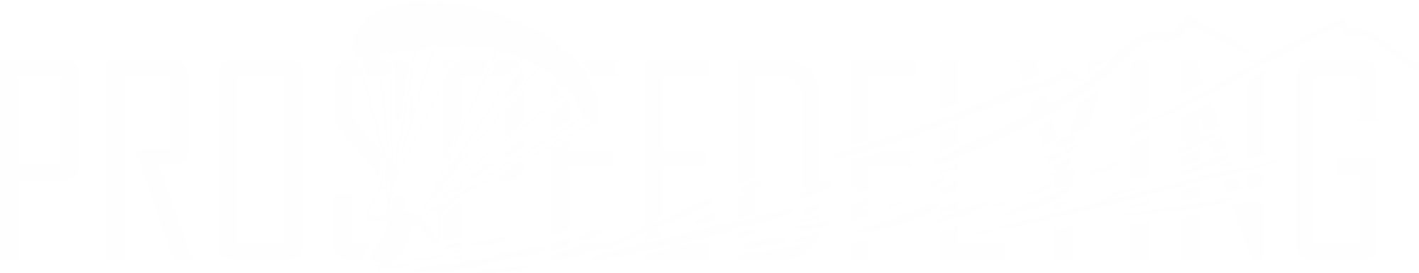 ProSpeedflying – Speedflying & Speedriding Shop and Camps