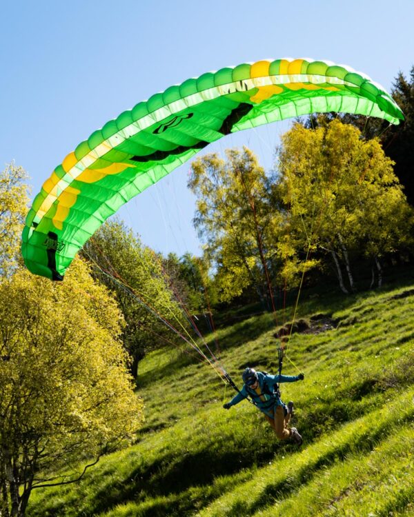 Ozone dragonfly green 2025