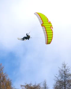 Level wings fizz 2