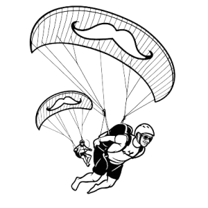 Parakite wings